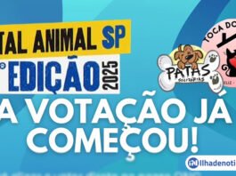 Edital Animal SP: Vote e ajude as entidades “Patas Solidárias” e “Toca dos Gatos” a conquistarem recursos