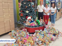 “Árvore Solidária” do Proença arrecada e doa brinquedos ao Fundo Social