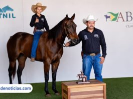 Ilhense conquista 3º lugar no Campeonato Nacional do Quarto de Milha da ABQM