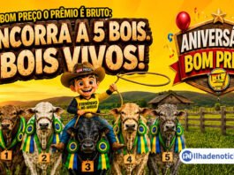 Bom Preço sorteará cinco bois vivos até dezembro